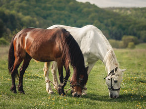 קצת עכשיו, קצת מחר