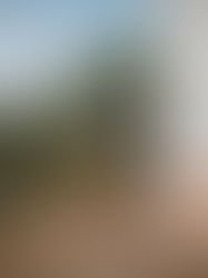 Ciclo Cine con paladar. Directoras : LOS PEQUEÑOS AMORES