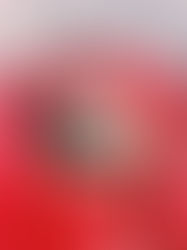 Feliz verano, despedida hasta octubre