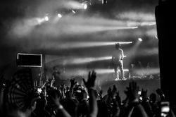 RIEKS__WAX_NIGHTBASS-72-3