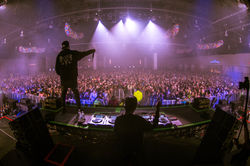 RIEKS__Wooli_Radiance_NYE-603-3