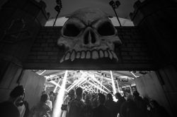 Freaky Deaky Festival