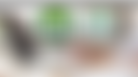 O MICROEMPREENDEDOR INDIVIDUAL - MEI NO ESOCIAL