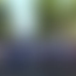 Veja como foi o encerramento do Projeto Verão na Cidade