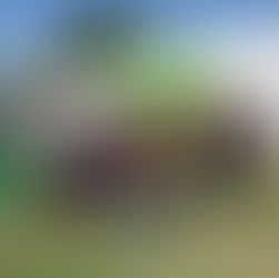 Encontrão: Ser Cidadão realiza reencontro para ex-alunos