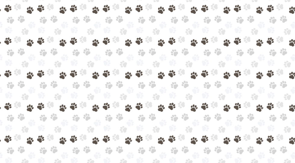 Car Auto Detailing Banner Facebook Cover (1800 x 800 px) (1800 x 1200 px) (35).png