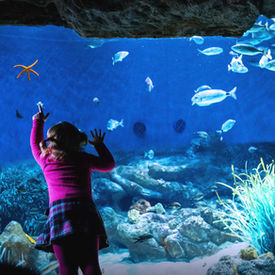 Planet Ocean Montpellier