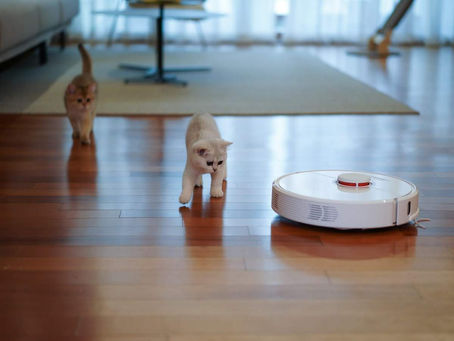 The Best Robot Vacuums To Keep Your Home Clean