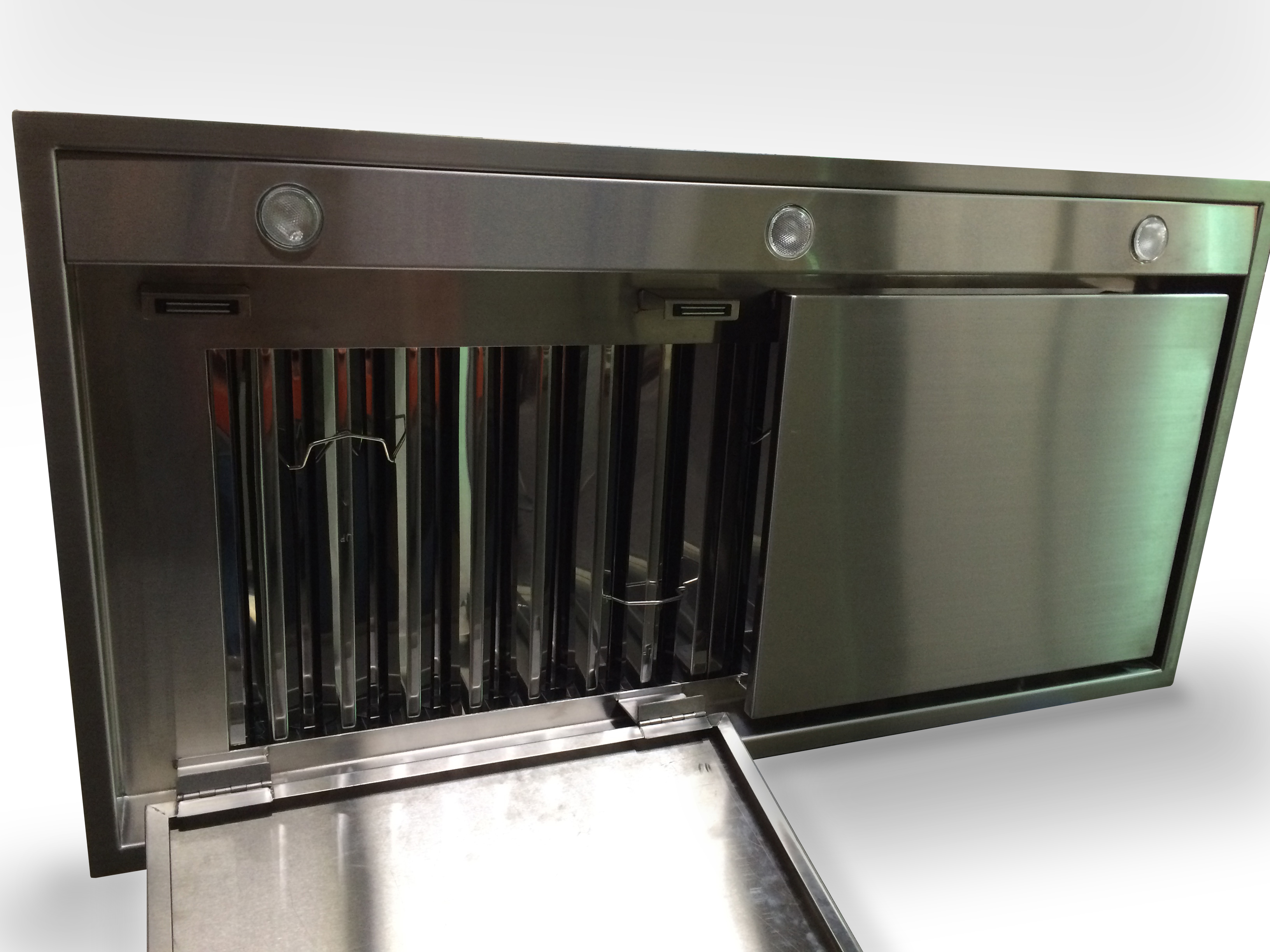 Flush-Mount Pro-Series Ceiling Mount Hood Filer View