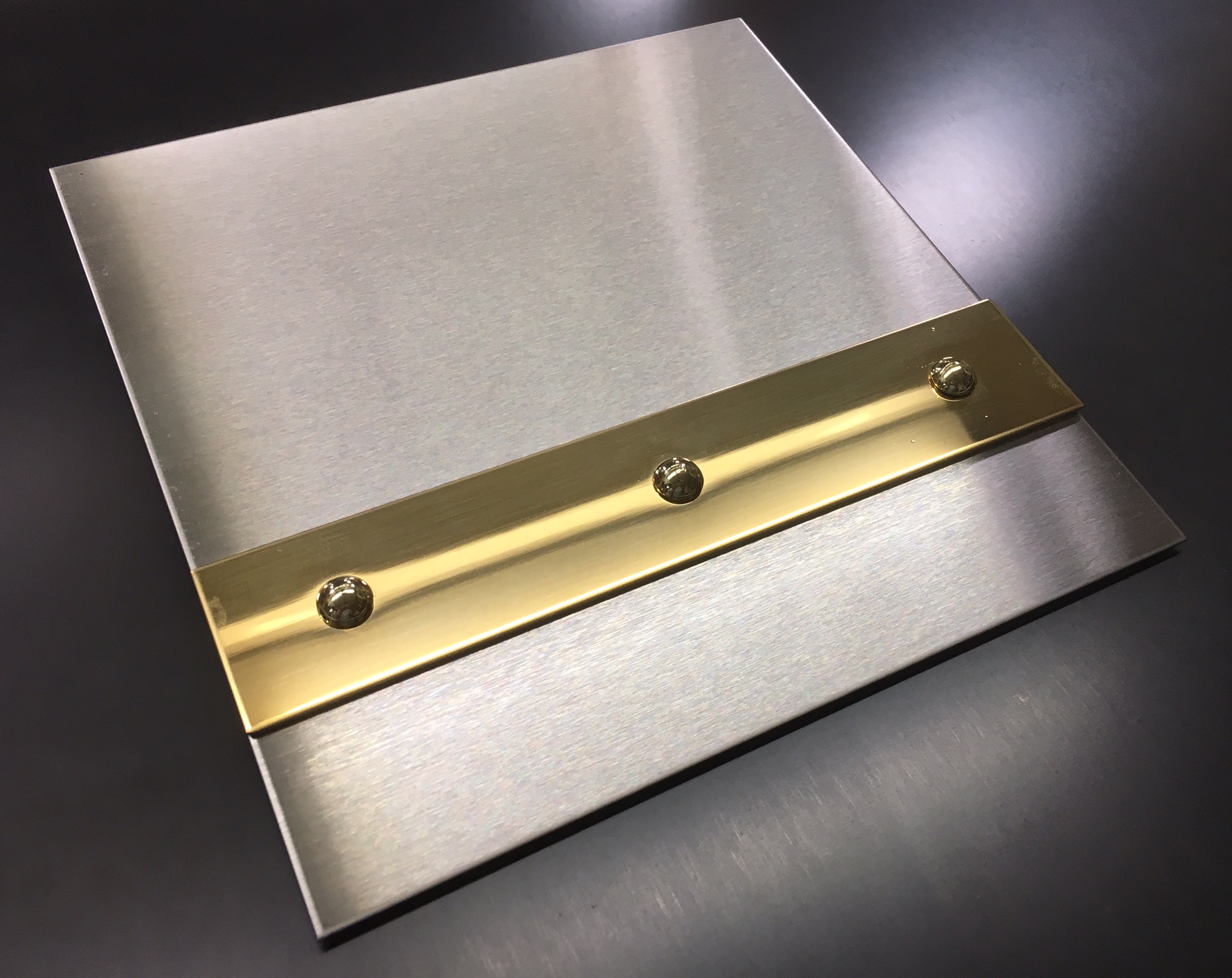 Brushed Stainless with Mirror Brass Banding