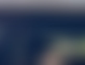 Turkey, Puggles, and 26 Acres