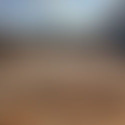 RAISING THE (HIGH TUNNEL) ROOF