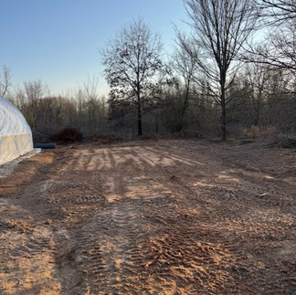 Cleared area in Winnsboro, Texas for the outdoor flowers