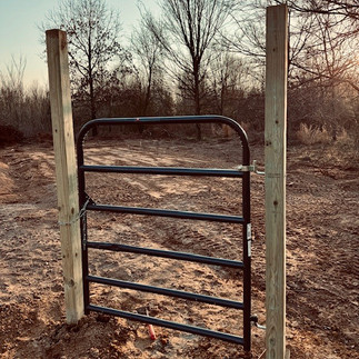 A gate in the middle of the field at Southern Charm Flower Farm in Winnsboro, Texas