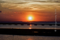 Artwork by Snapngiggle photography _ 2017-2976