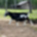 Photoroom_20250103_193325.jpeg