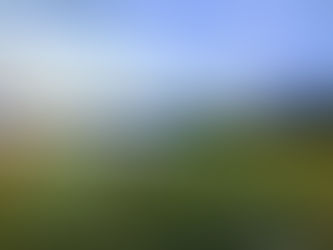 What is a short-term rental?