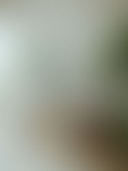 Banhos de desintoxicação