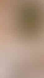 Como criar um cantinho de leitura aconchegante em casa