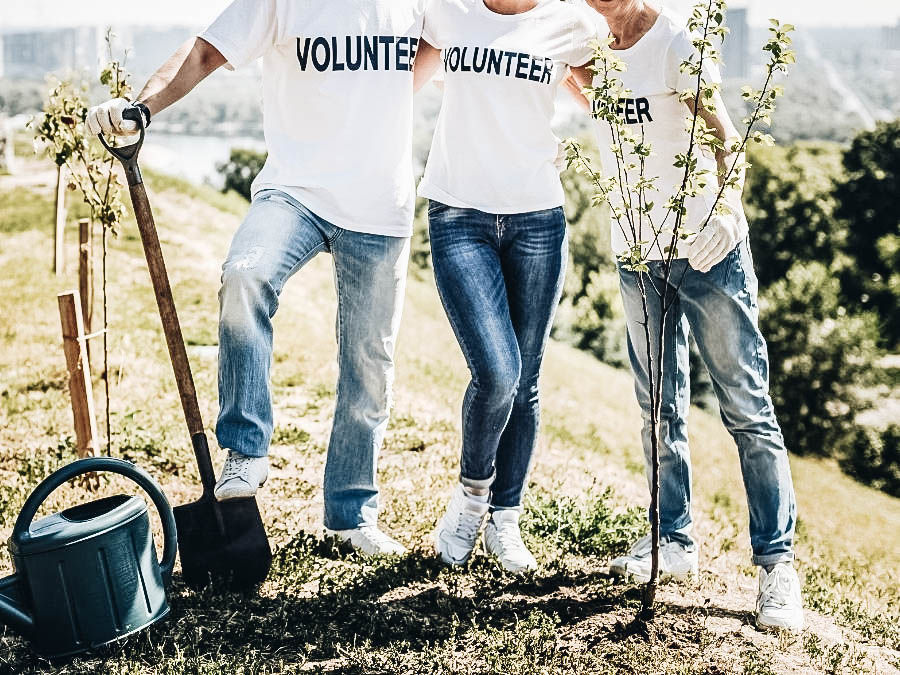Coisas para fazer no dia das mães