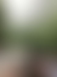 50 Coisas Divertidas Para Fazer em um Dia Chuvoso