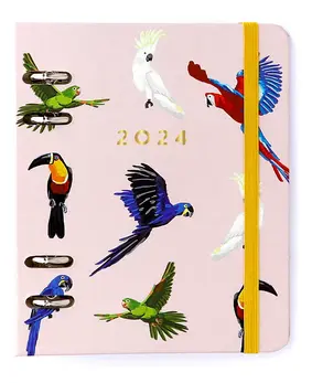 Planner Cícero Comprar
