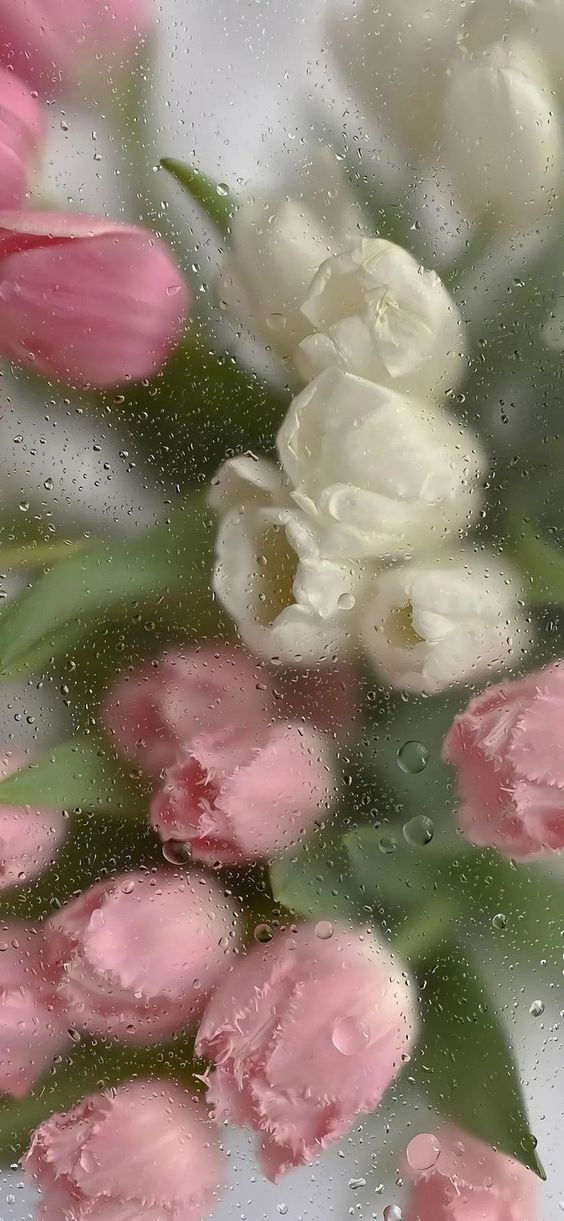 Papel de parede de flores Metas e Glamour 47