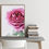 Miniatura: Poster Decorativo Rosa para imprimir
