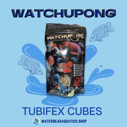 Water Bear Aquatics