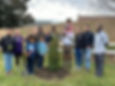 Tree Planting.jpg