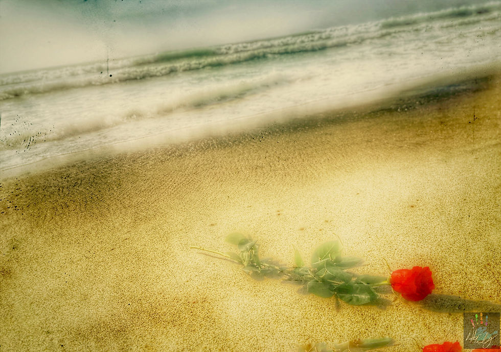Still Rose