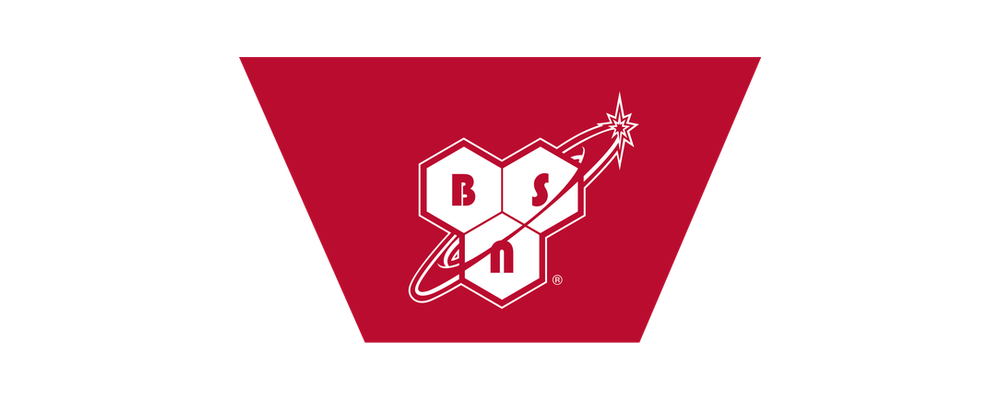 BSN logo
