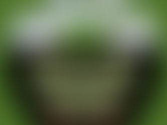 Embracing the Plateau of Potential - Prayer for 11/26/24