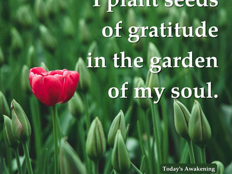 My Gratitude Garden - Prayer for 2/9/25