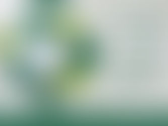 A Sanctuary of Peace - Prayer for 2/5/24