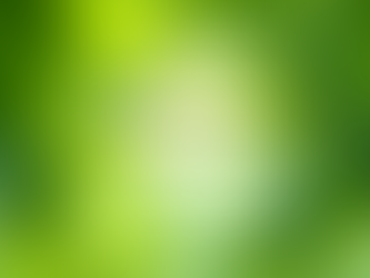 Wisdom Within - Prayer for July 2, 2022