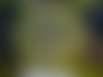 Transcending Ego for Freedom - Prayer for 1/31/25