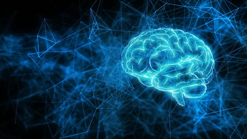 Digital brain mapping visualization