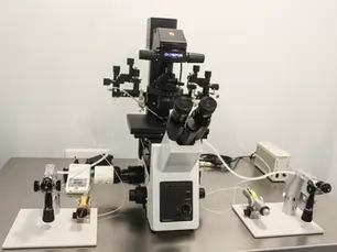 How to Choose the Right IVF Centre – A Simple Guide Based on the RI Witnessing System