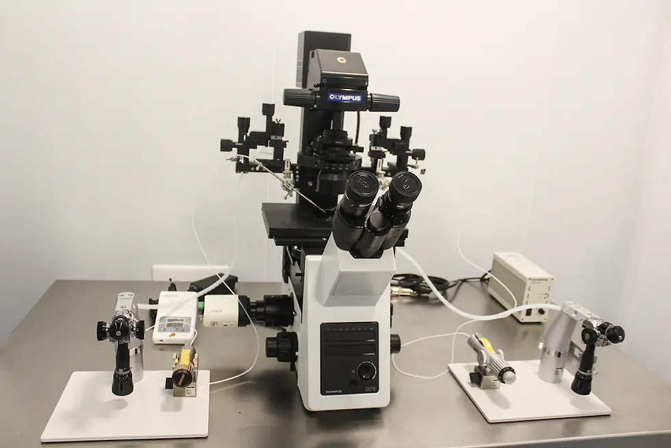 How to Choose the Right IVF Centre – A Simple Guide Based on the RI Witnessing System