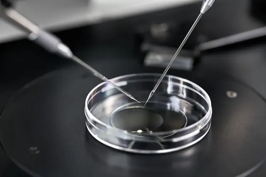 rmia-Beyond-IVF-A-Look-At-Advanced-ART-Options-Like-PGT-A_-IVM-_-ICSI.webp