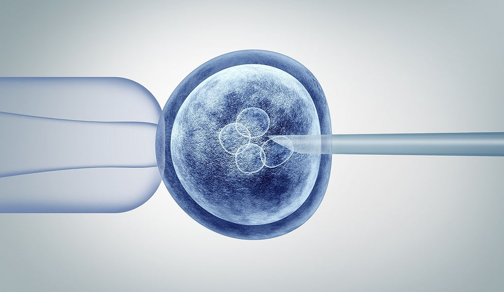 Microscopic view of embryo cell injection during IVF