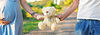 Best IVF Treatment in Guntur (2).png