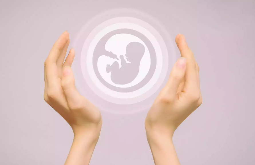 Hands protecting embryo.