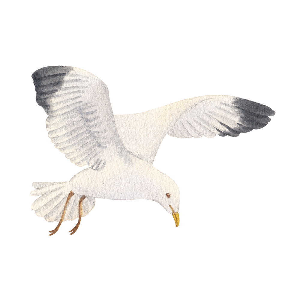 9.png