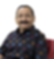 N.Sreenivasa Rao
