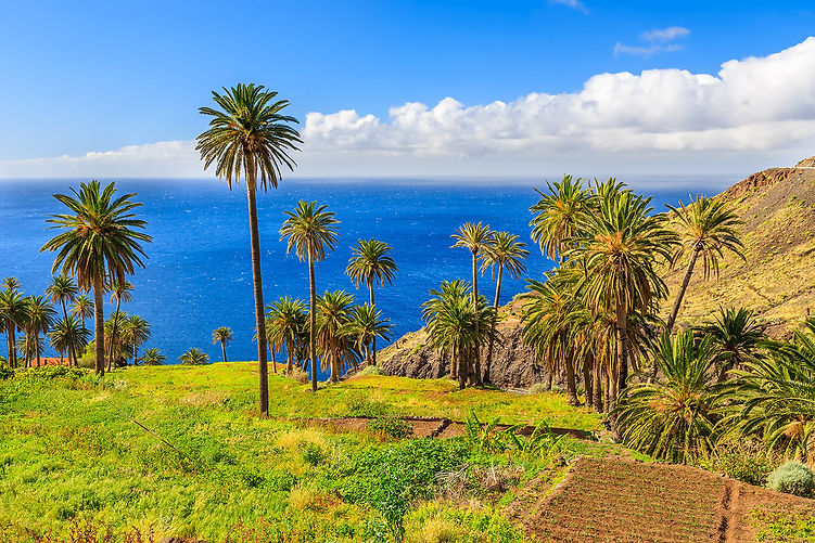 La-Gomera-Pauschalreise.jpg