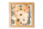 Pressed flowers in shades of pink, white, and blue are arranged in a wooden frame, creating a delicate and artistic display.