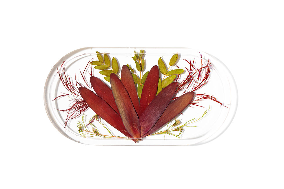 Thumbnail: Assorted Dishes