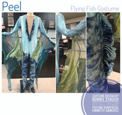 flying fish